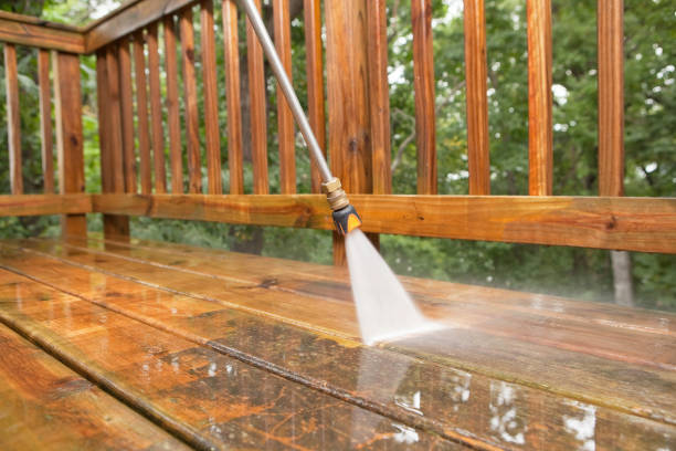 Animal Enclosure Cleaning in Orchidlands Estates, HI